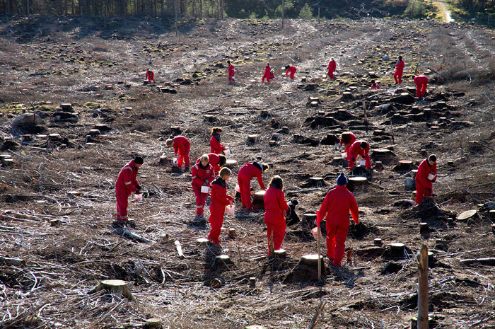 The Colour of Red